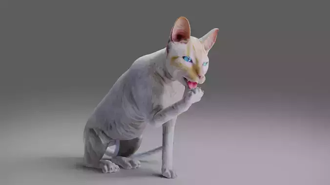 Cat White Rigged in Blender
