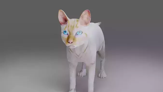 Cat White NO Rigged in Blender