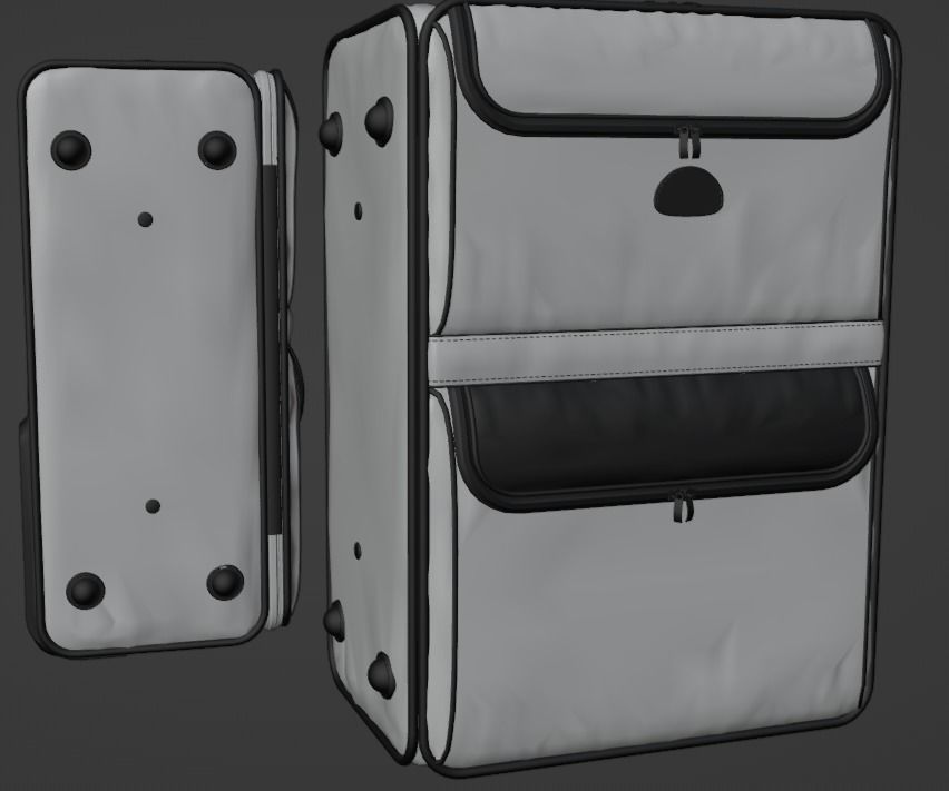 Old Lugagge 3D model_9