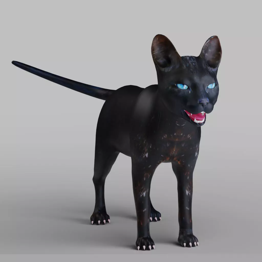 Cat Black Rigged in Blender Low-poly 3D model_0