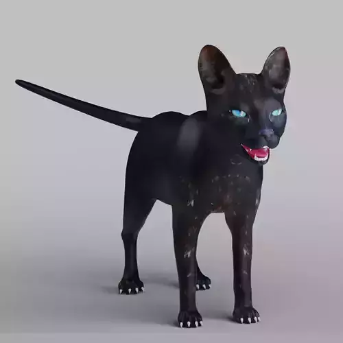 Cat Black Rigged in Blender