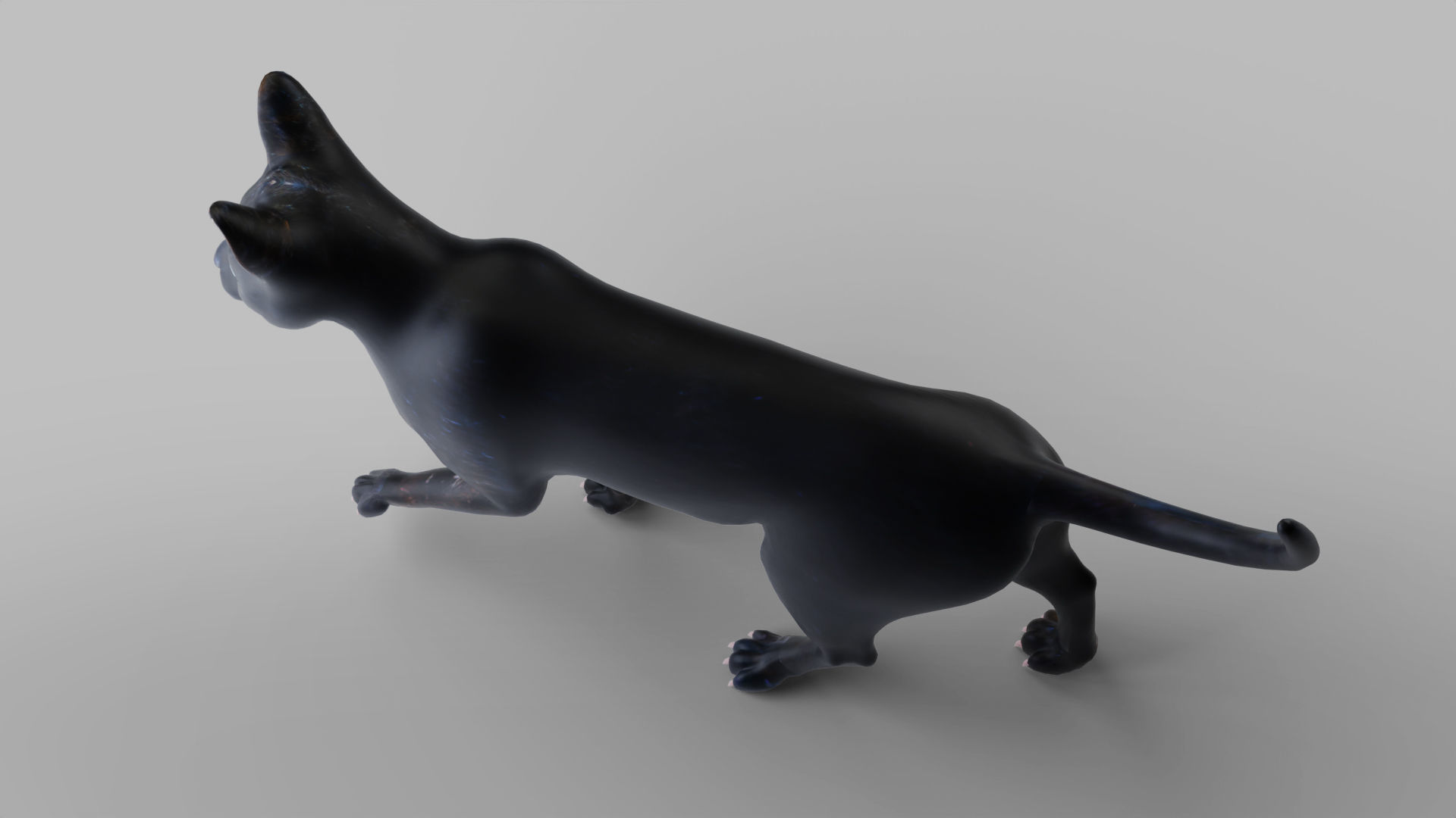 Cat Black Rigged in Blender Low-poly 3D model_11