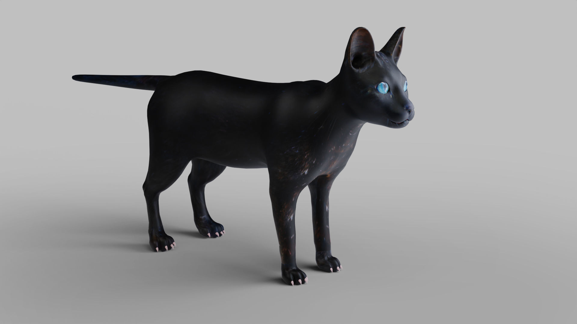 Cat Black Rigged in Blender Low-poly 3D model_7