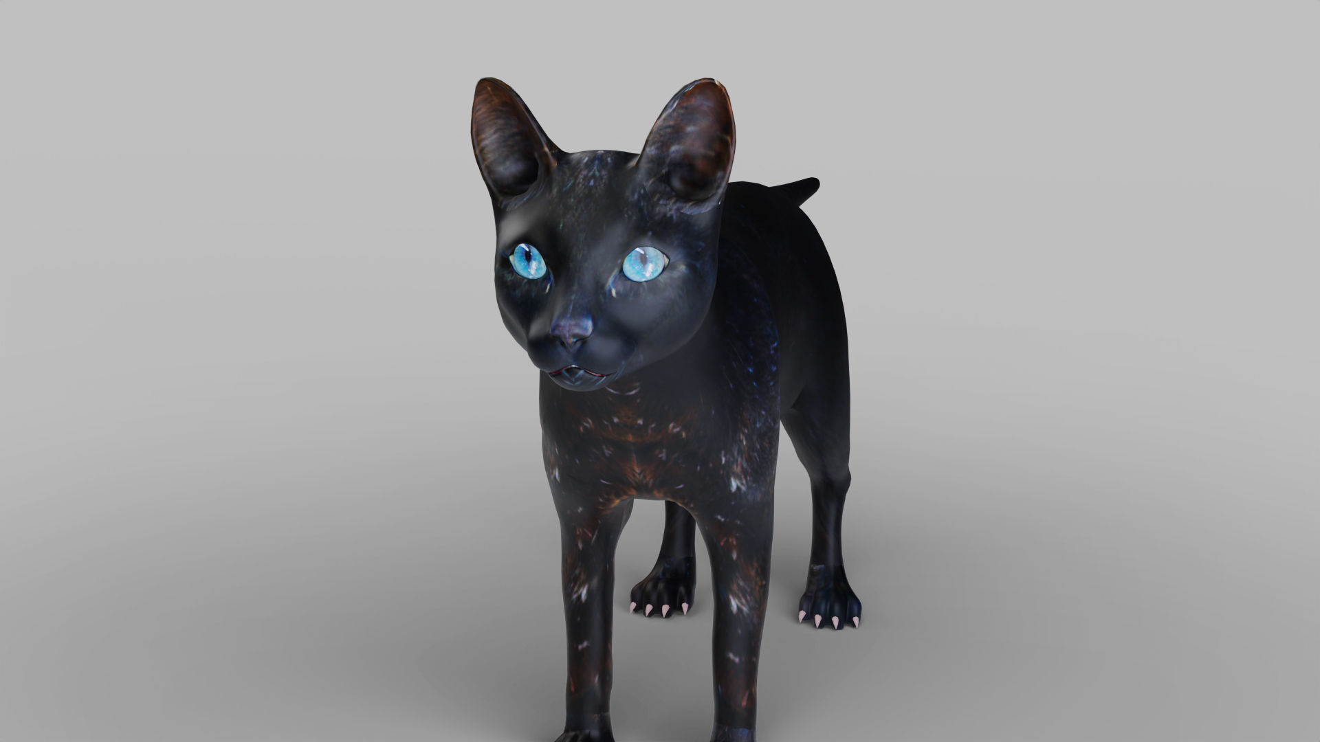 Cat Black Rigged in Blender Low-poly 3D model_3