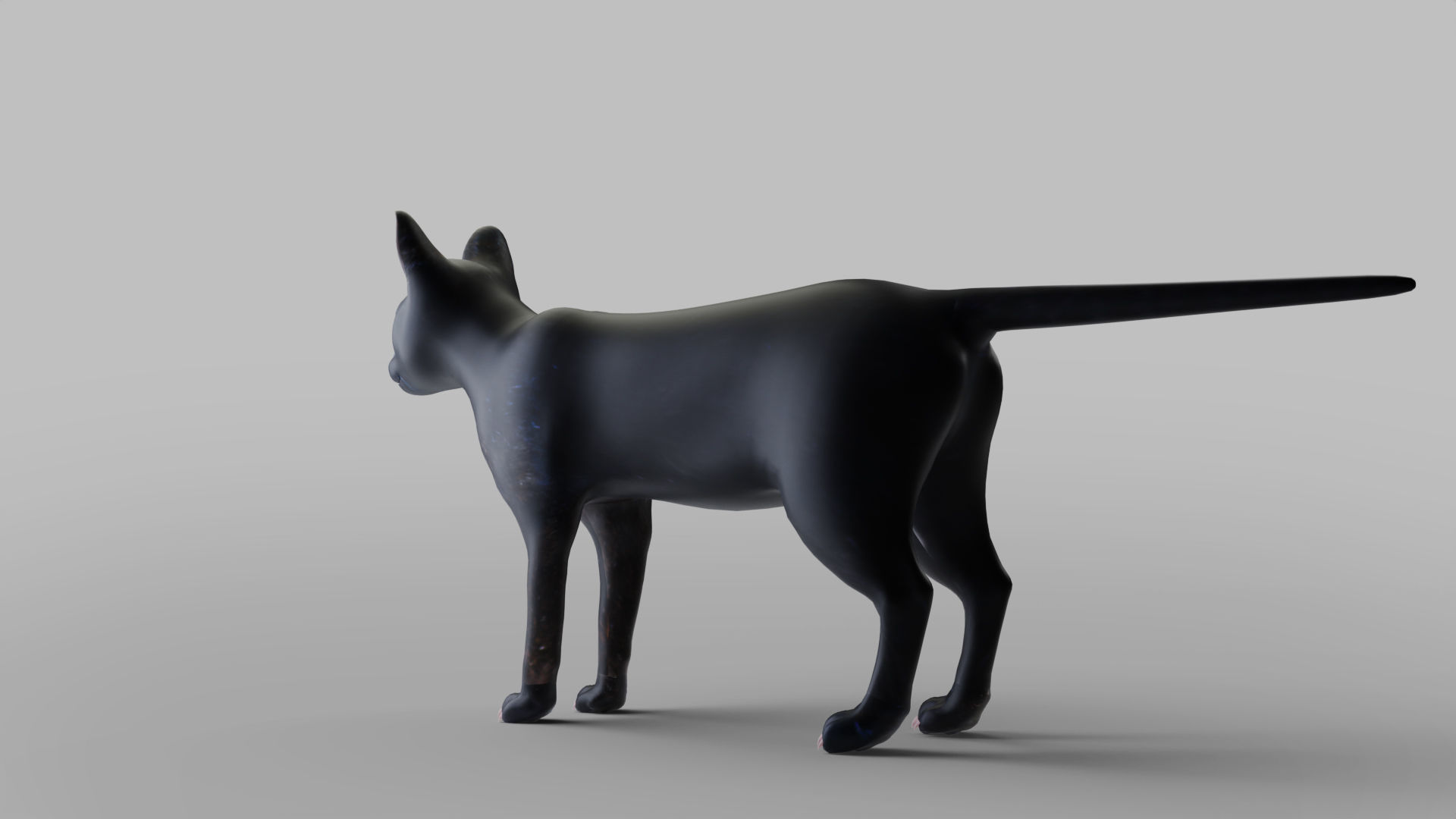Cat Black Rigged in Blender Low-poly 3D model_6