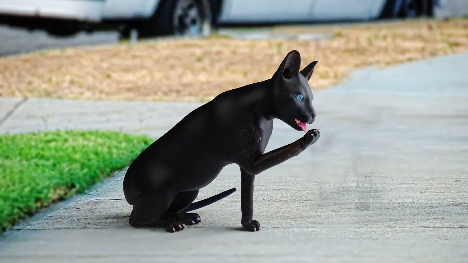 Cat Black Rigged in Blender Low-poly 3D model_2