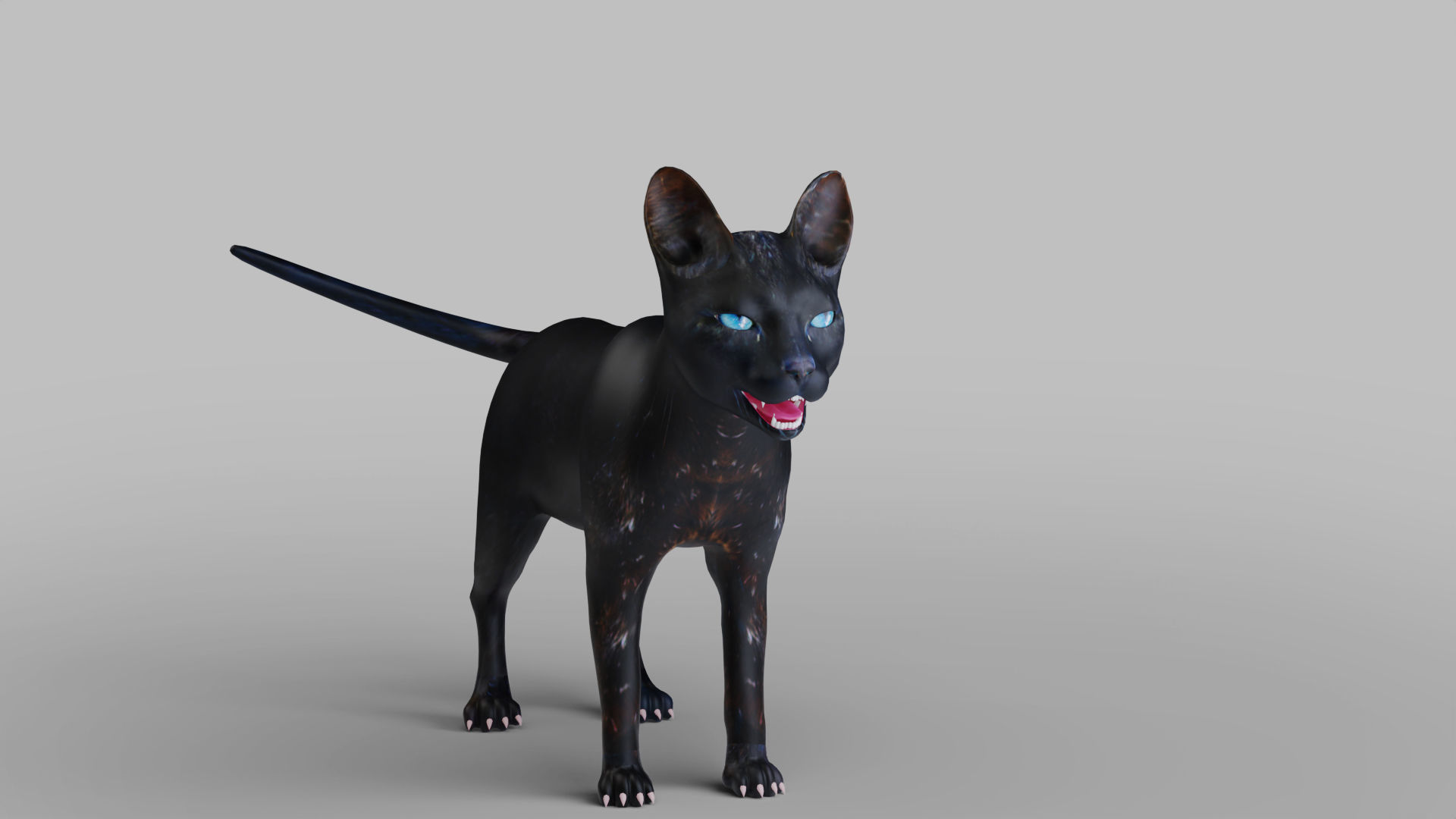 Cat Black Rigged in Blender Low-poly 3D model_9
