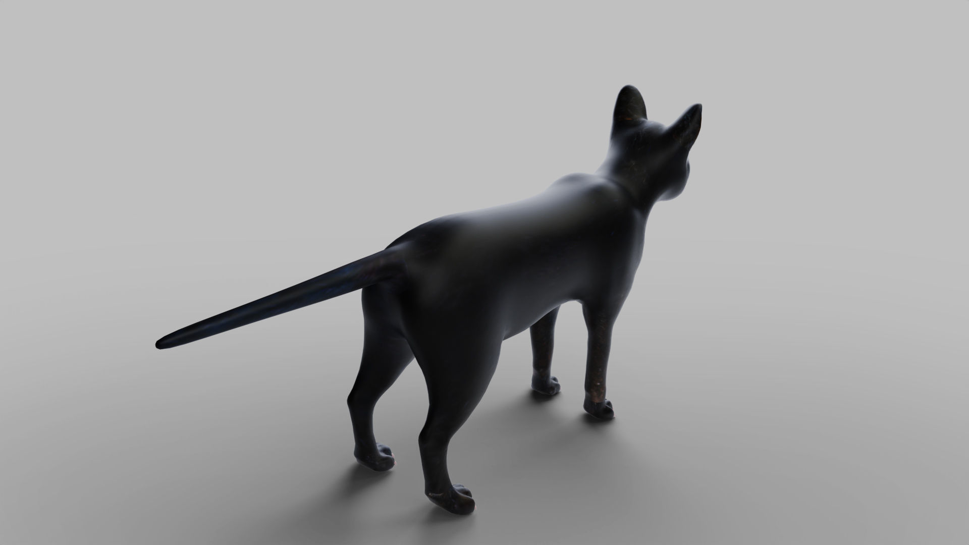 Cat Black Rigged in Blender Low-poly 3D model_5