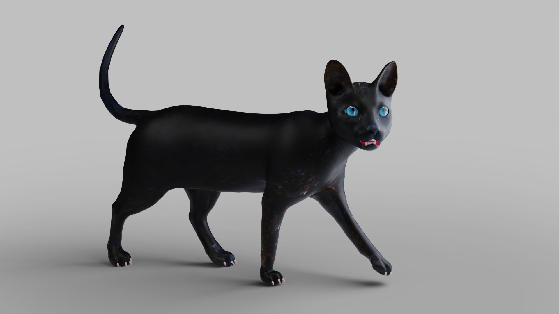Cat Black Rigged in Blender Low-poly 3D model_10
