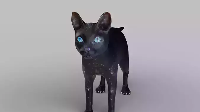 Cat Black NO Rigged in Blender 
