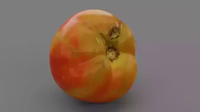 Tomato 07