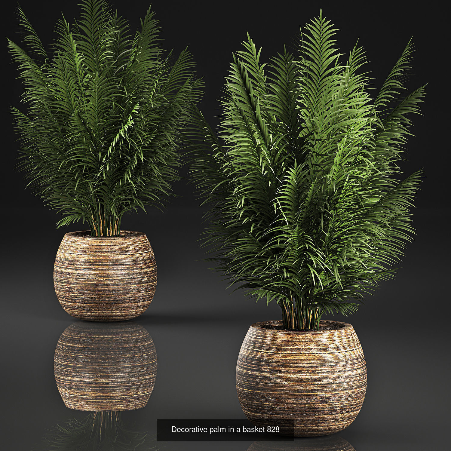 Collection of plants in pots for street and interior decor _70