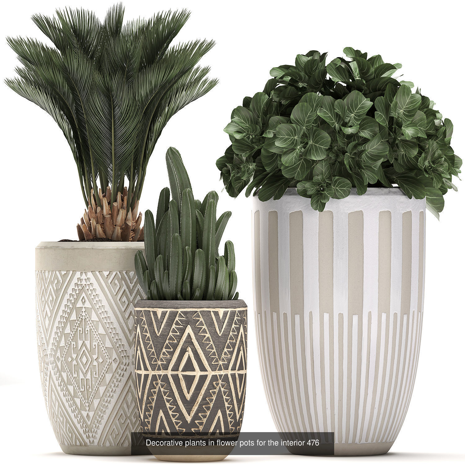 Collection of plants in pots for street and interior decor _37