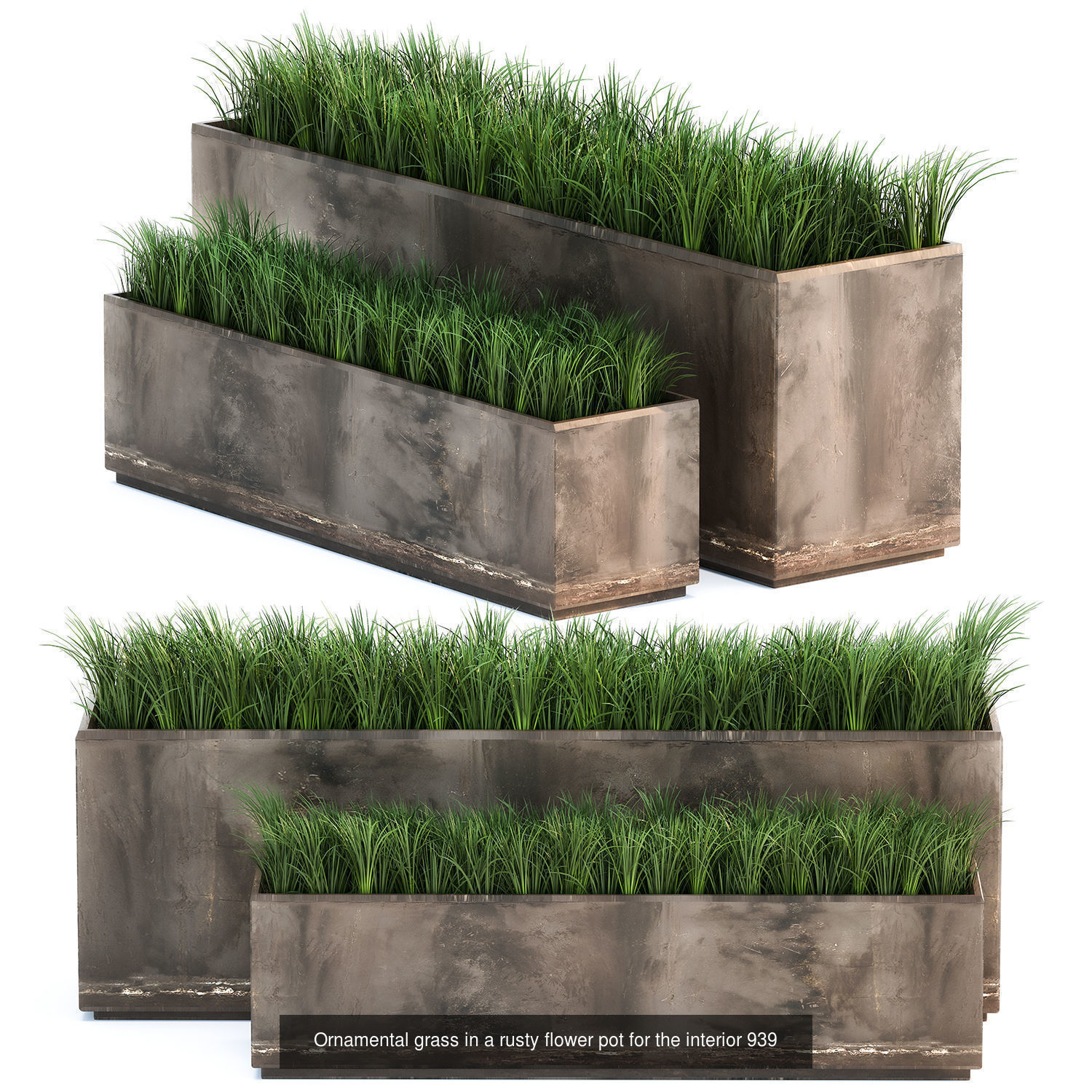 Collection of plants in pots for street and interior decor _75