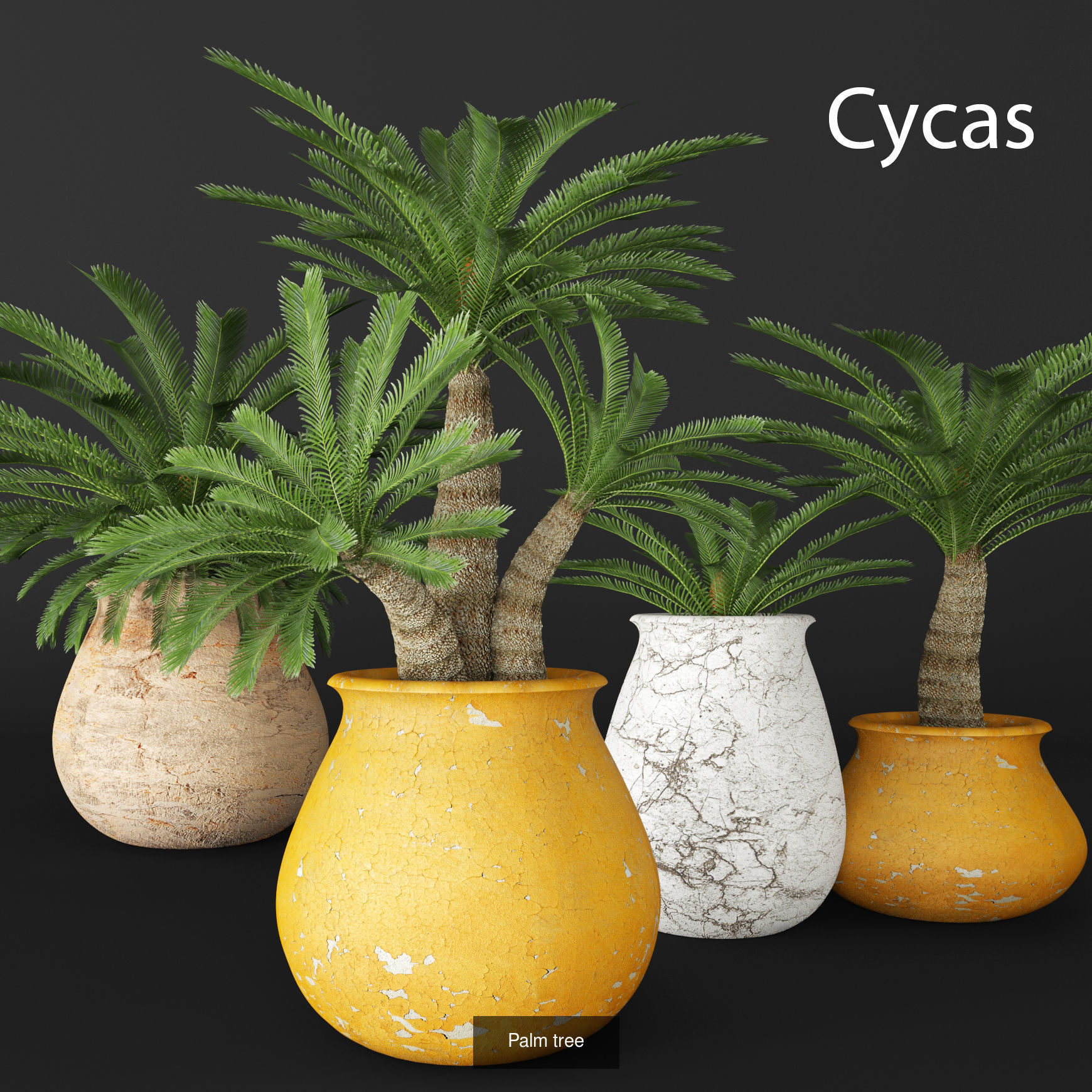 Collection of plants in pots for street and interior decor _9