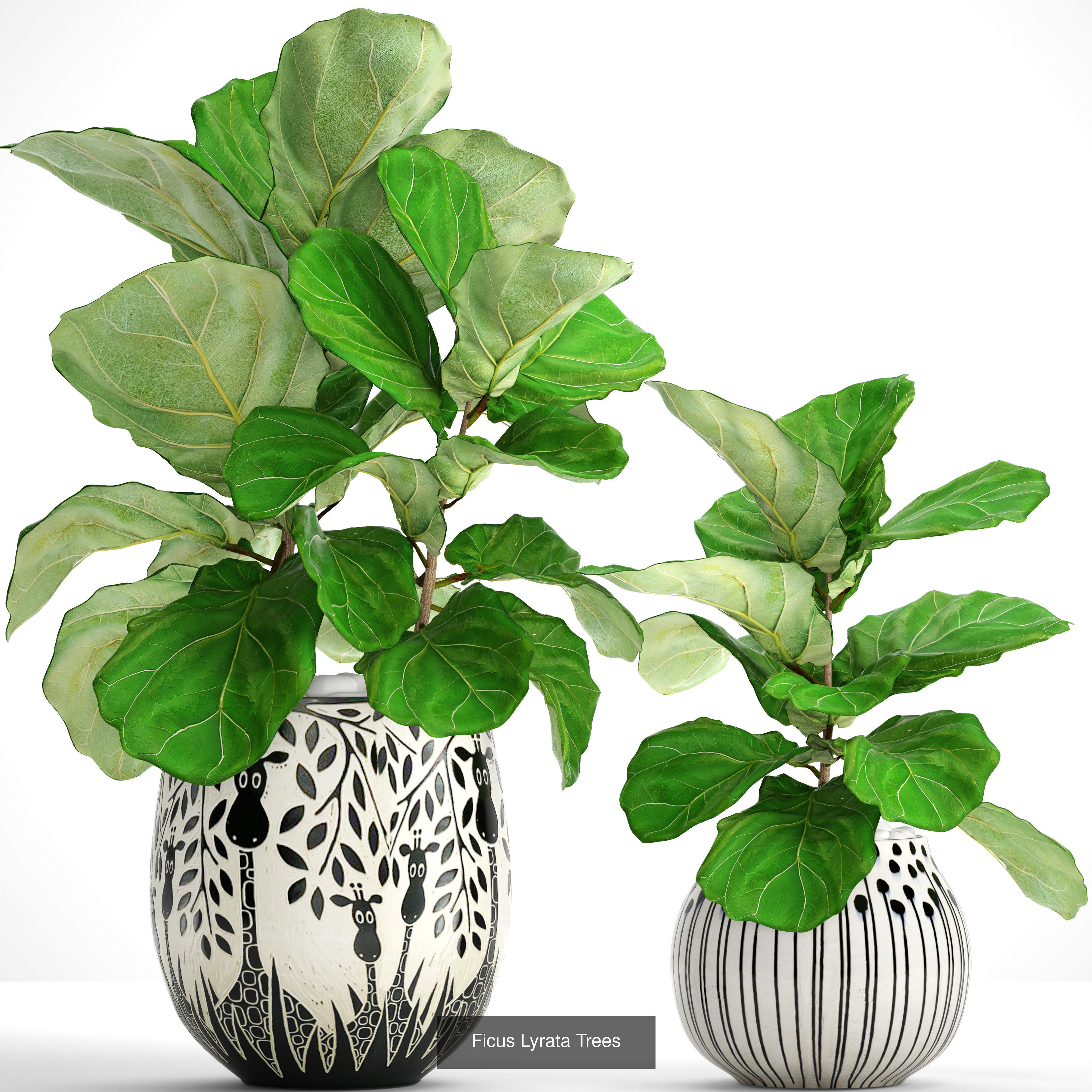 Collection of plants in pots for street and interior decor _21