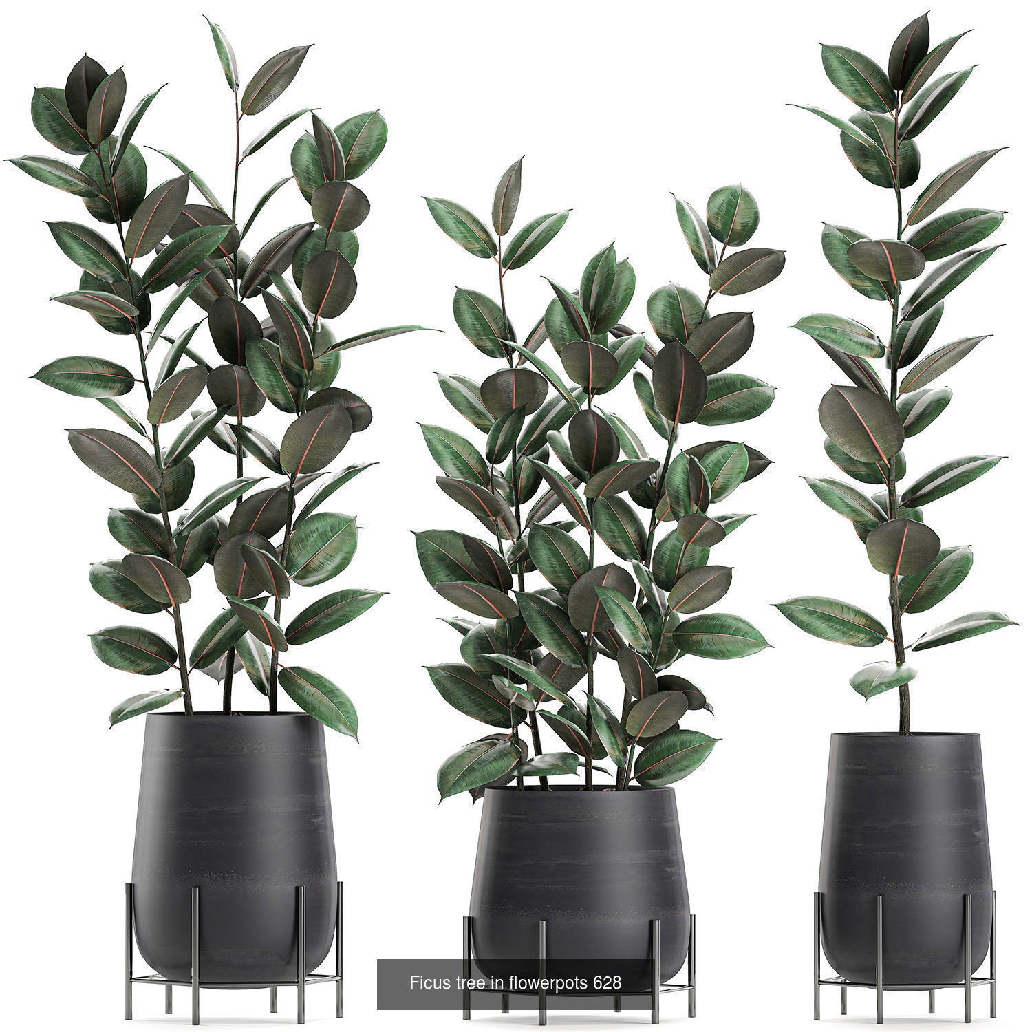 Collection of plants in pots for street and interior decor _50