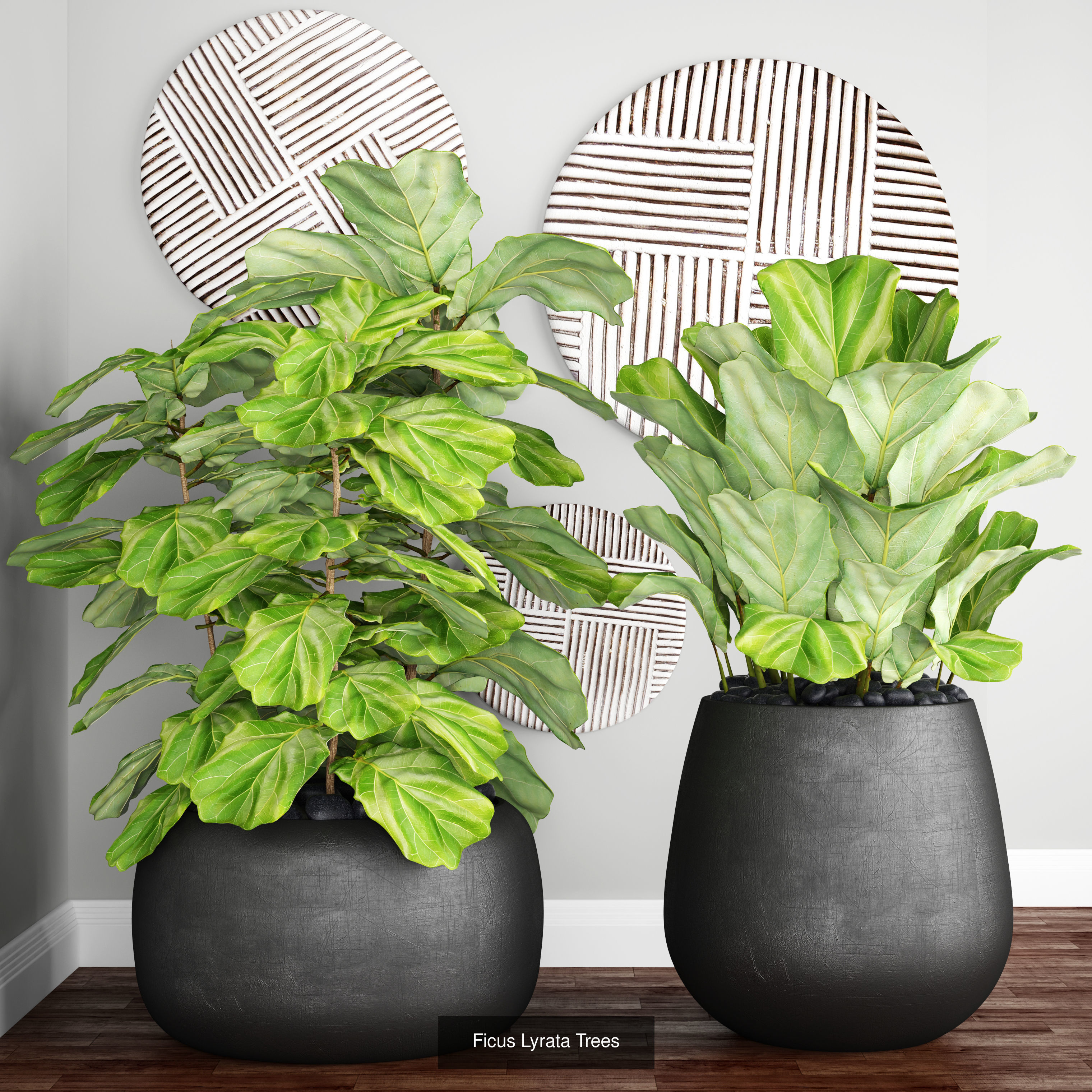 Collection of plants in pots for street and interior decor _16
