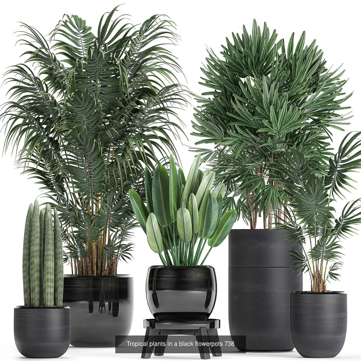 Collection of plants in pots for street and interior decor _54