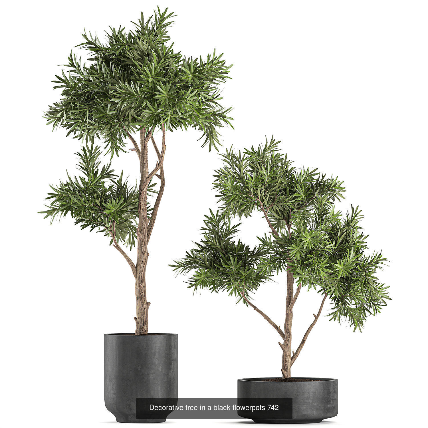 Collection of plants in pots for street and interior decor _58