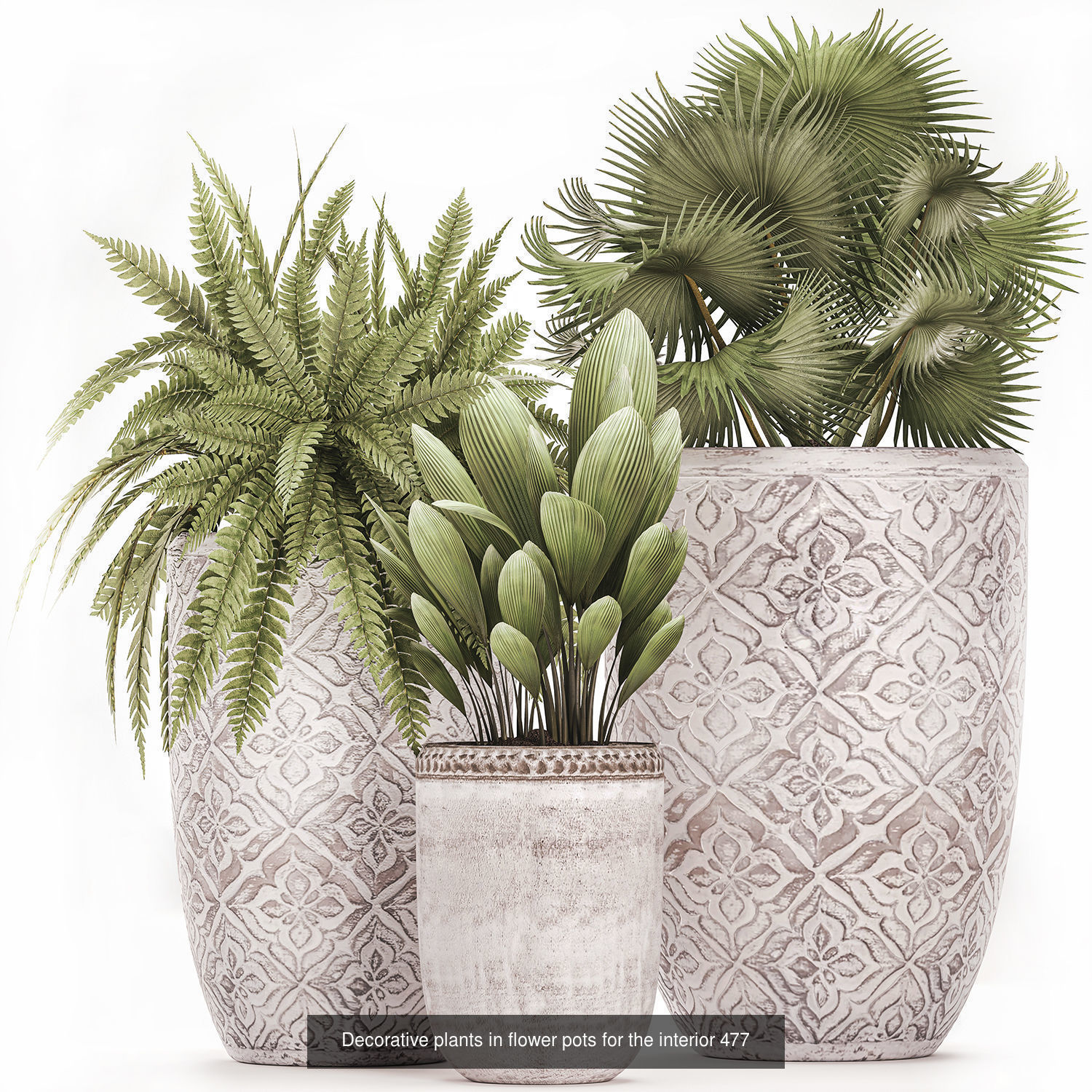 Collection of plants in pots for street and interior decor _38