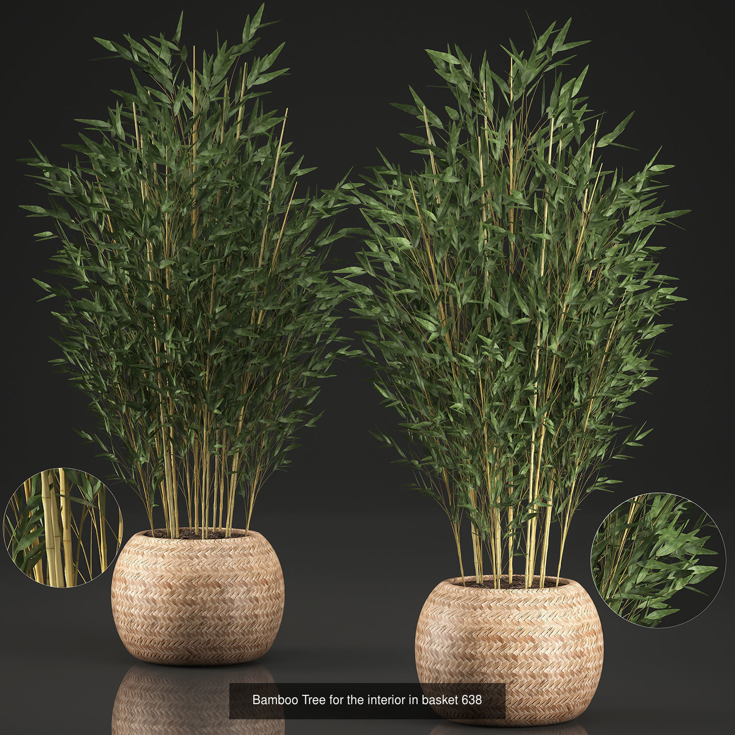 Collection of plants in pots for street and interior decor _53