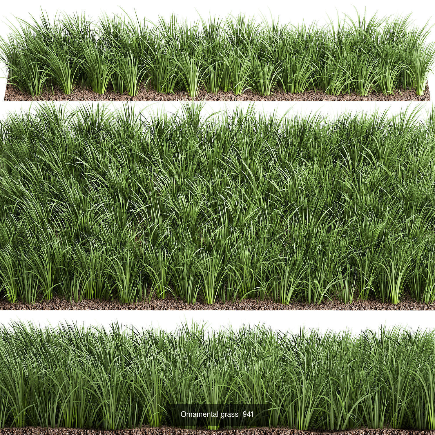 Collection of plants in pots for street and interior decor _76