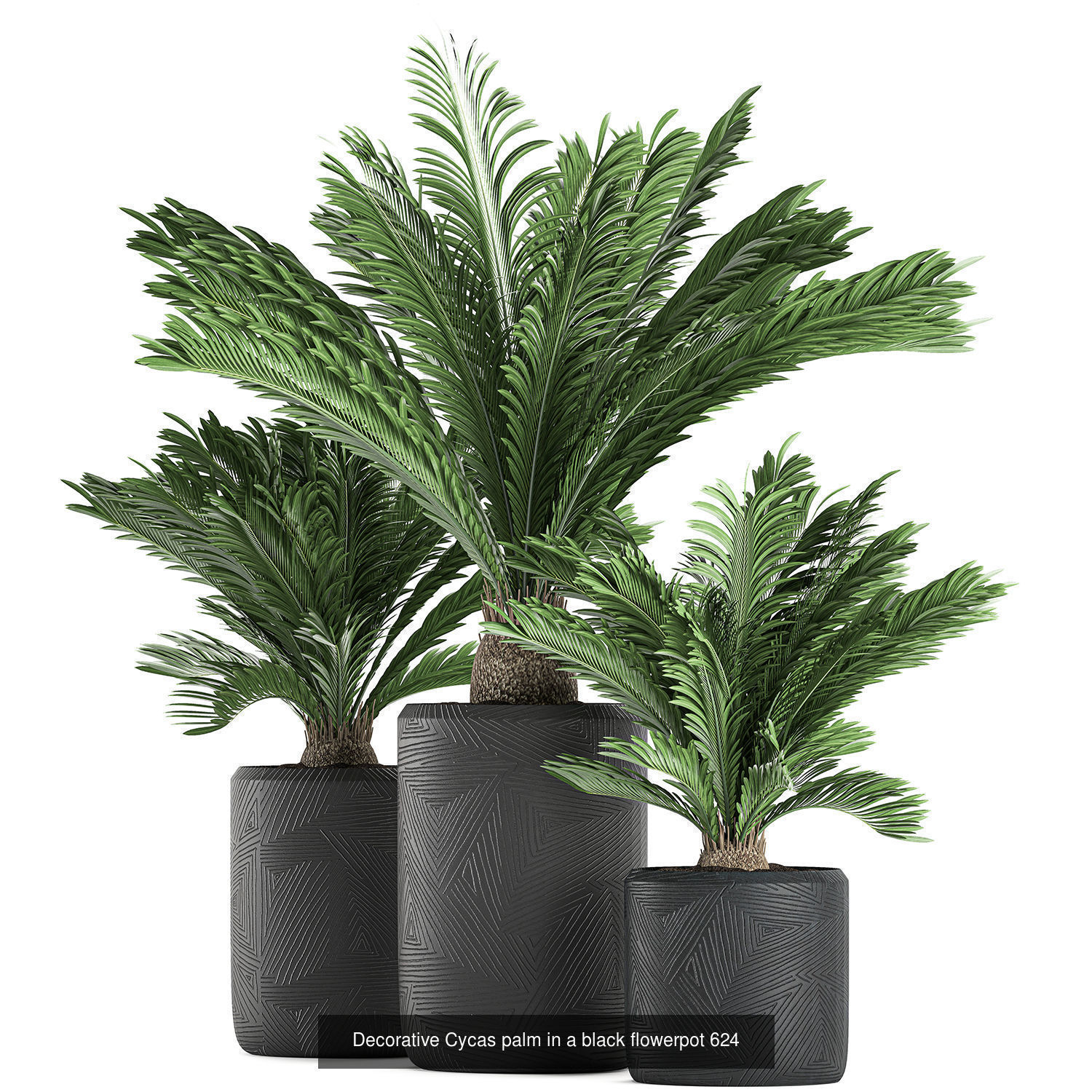 Collection of plants in pots for street and interior decor _49