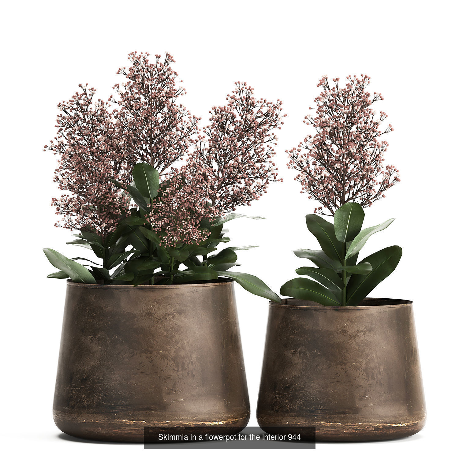 Collection of plants in pots for street and interior decor _77