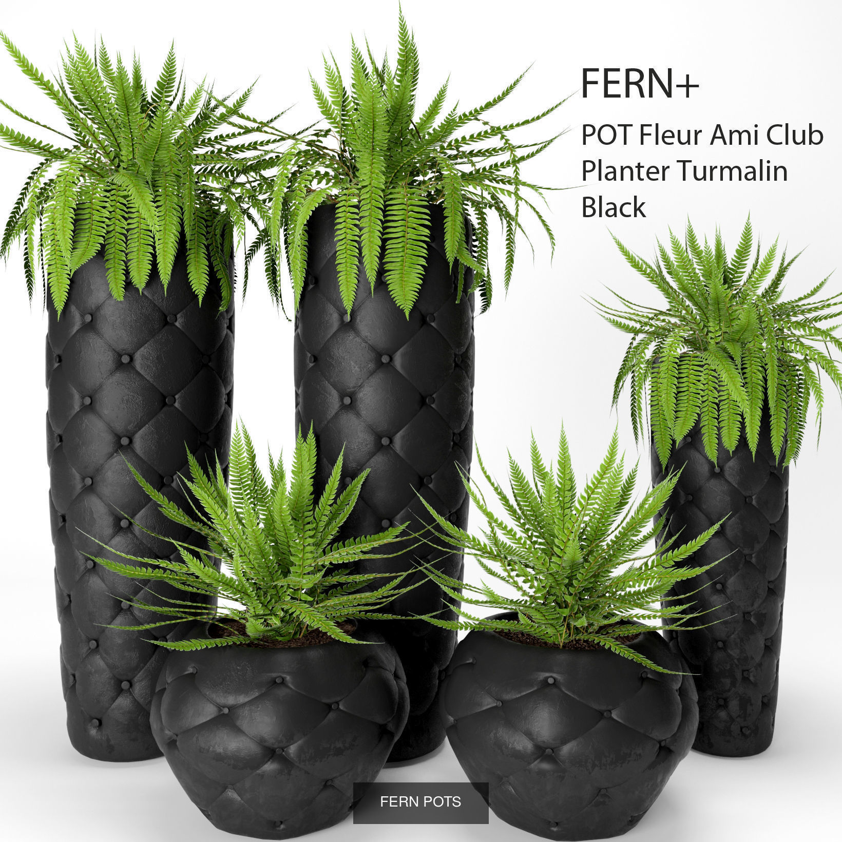 Collection of plants in pots for street and interior decor _12