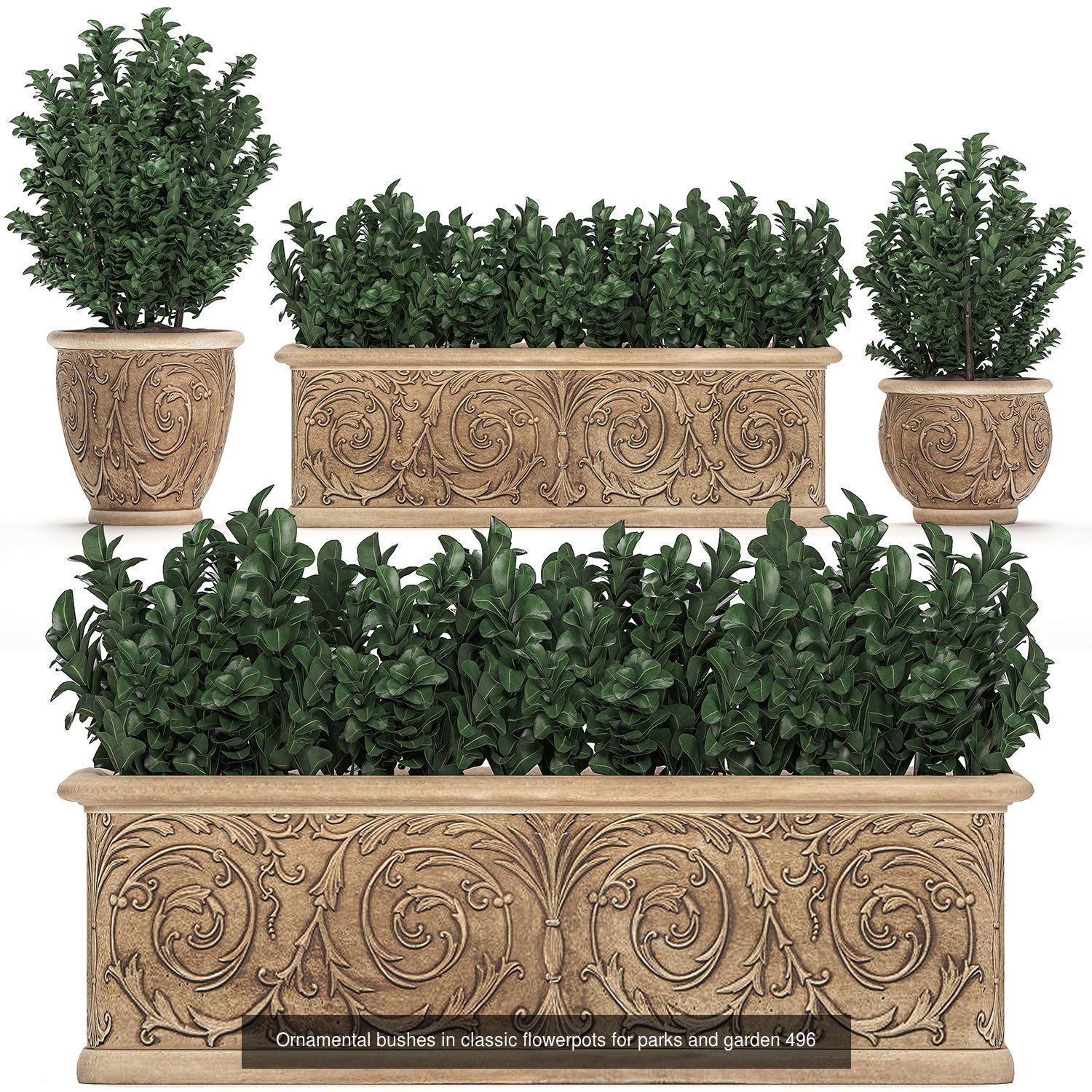 Collection of plants in pots for street and interior decor _40