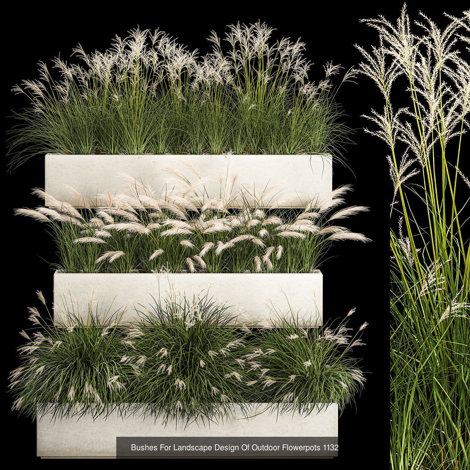 Collection bushes For Landscaping And Urban Environments _11