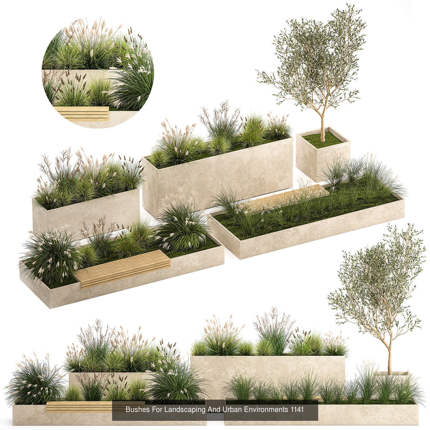 Collection bushes For Landscaping And Urban Environments _16