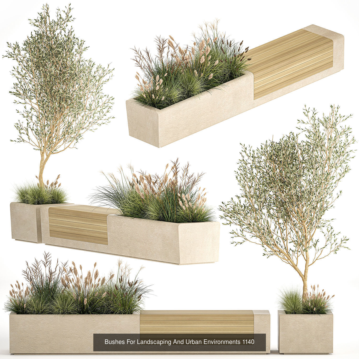 Collection bushes For Landscaping And Urban Environments _2