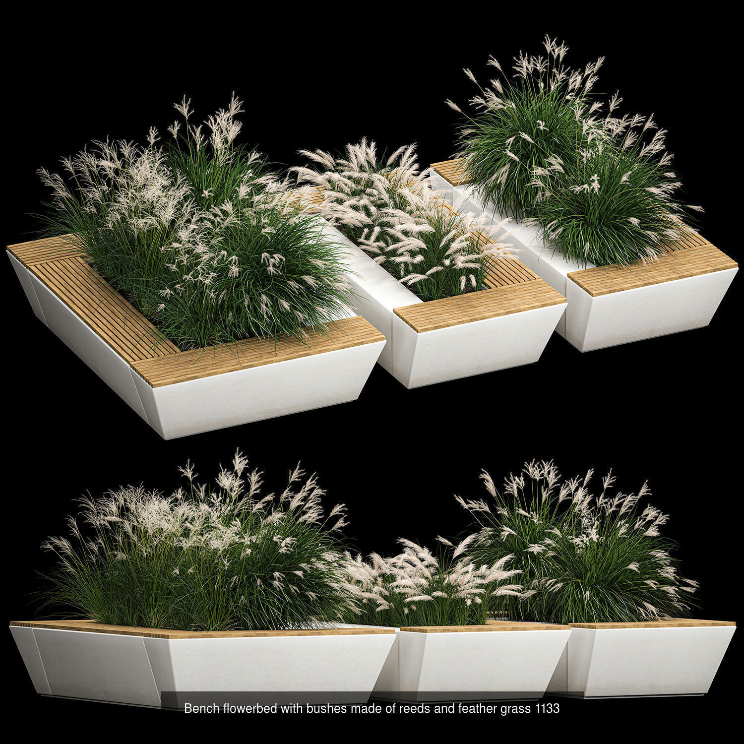Collection bushes For Landscaping And Urban Environments _12