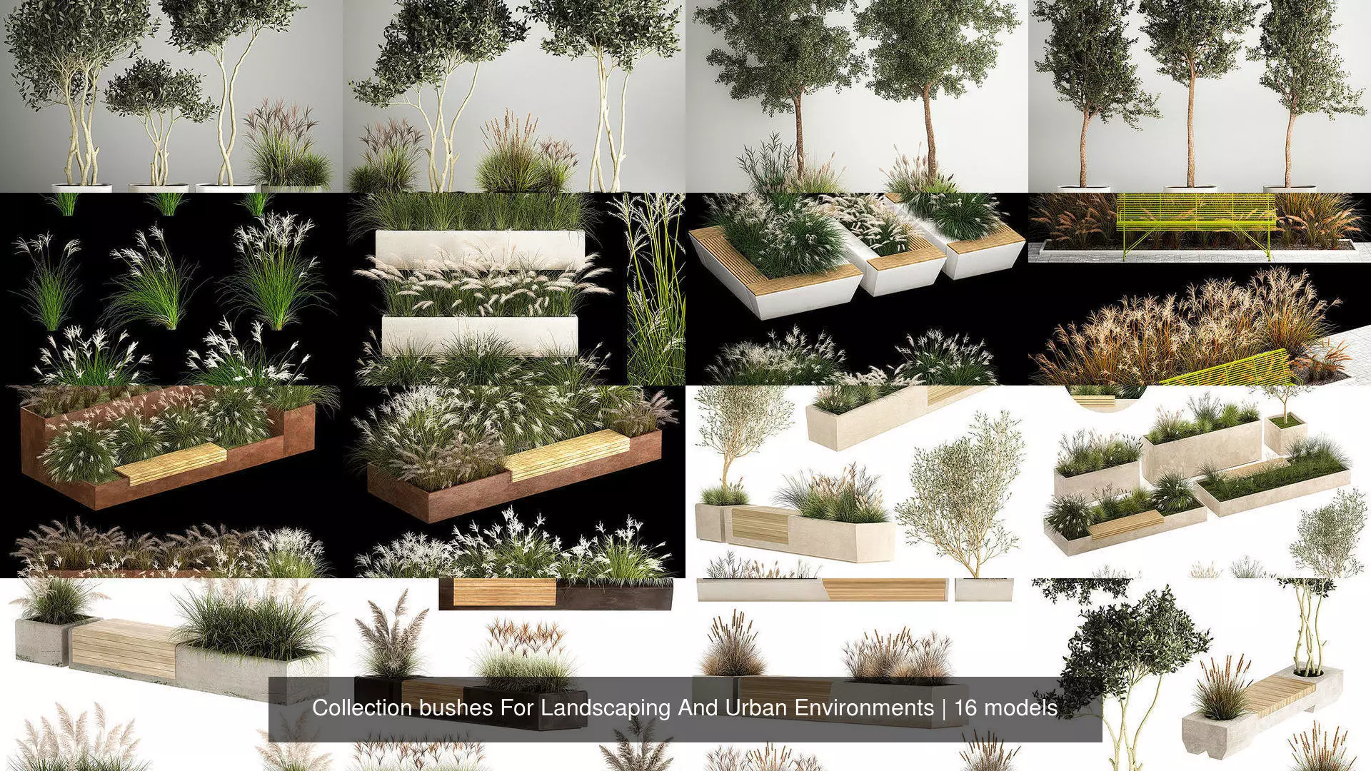 Collection bushes For Landscaping And Urban Environments _0