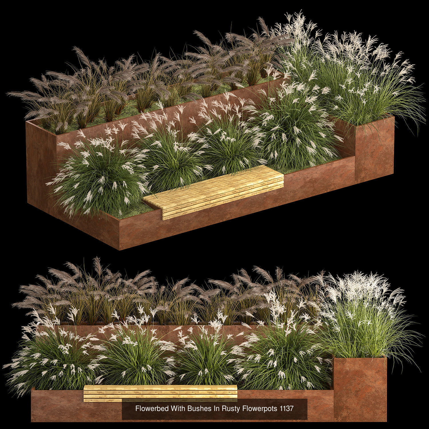 Collection bushes For Landscaping And Urban Environments _14