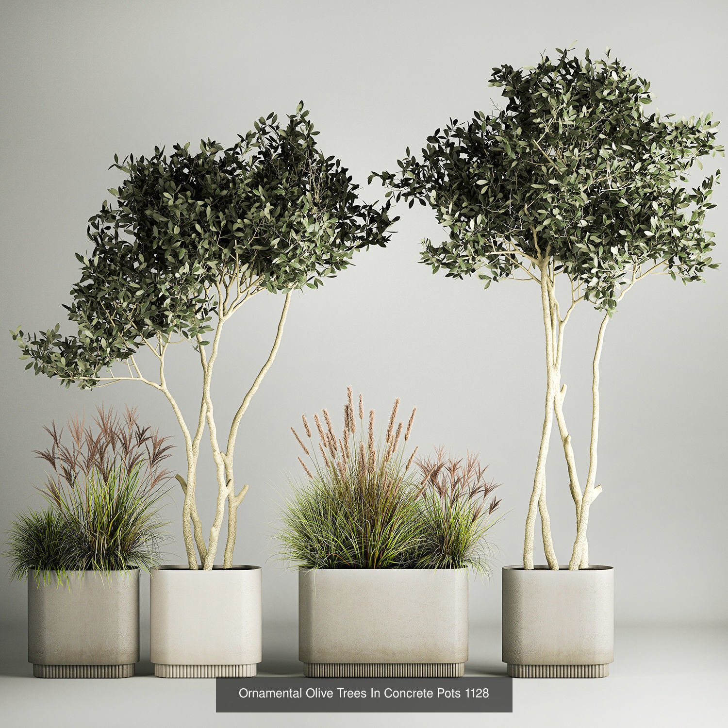 Collection bushes For Landscaping And Urban Environments _5