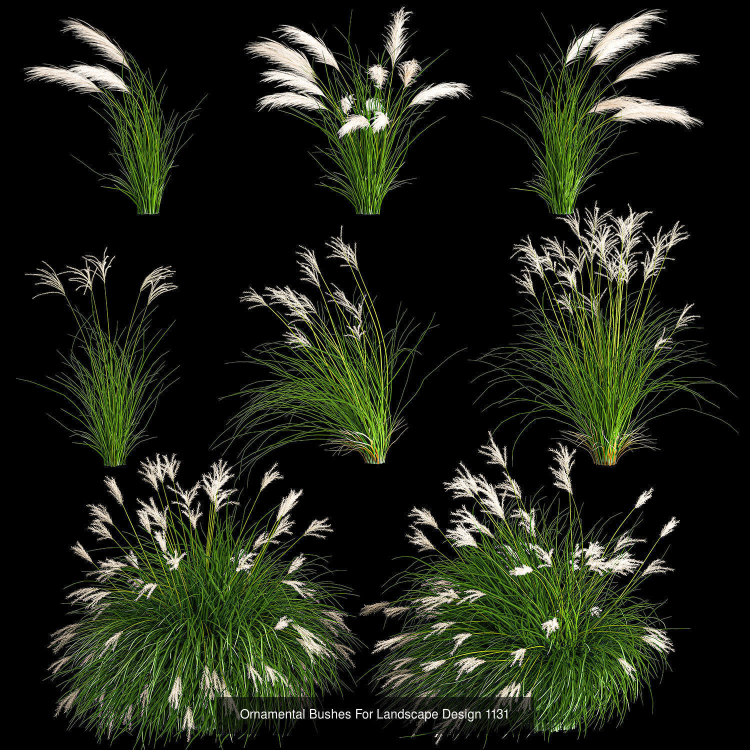 Collection bushes For Landscaping And Urban Environments _10