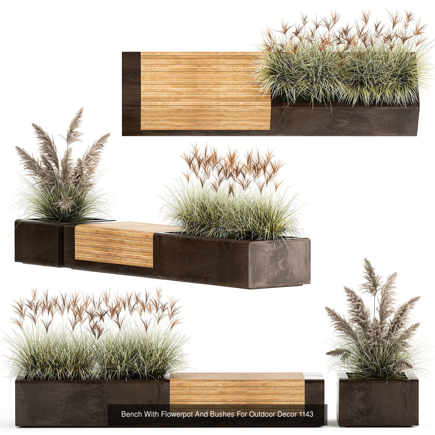 Collection bushes For Landscaping And Urban Environments _4