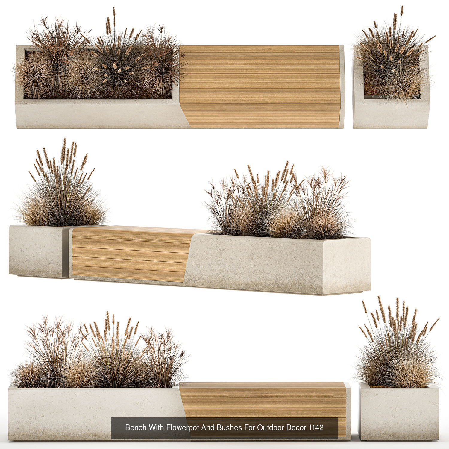 Collection bushes For Landscaping And Urban Environments _8
