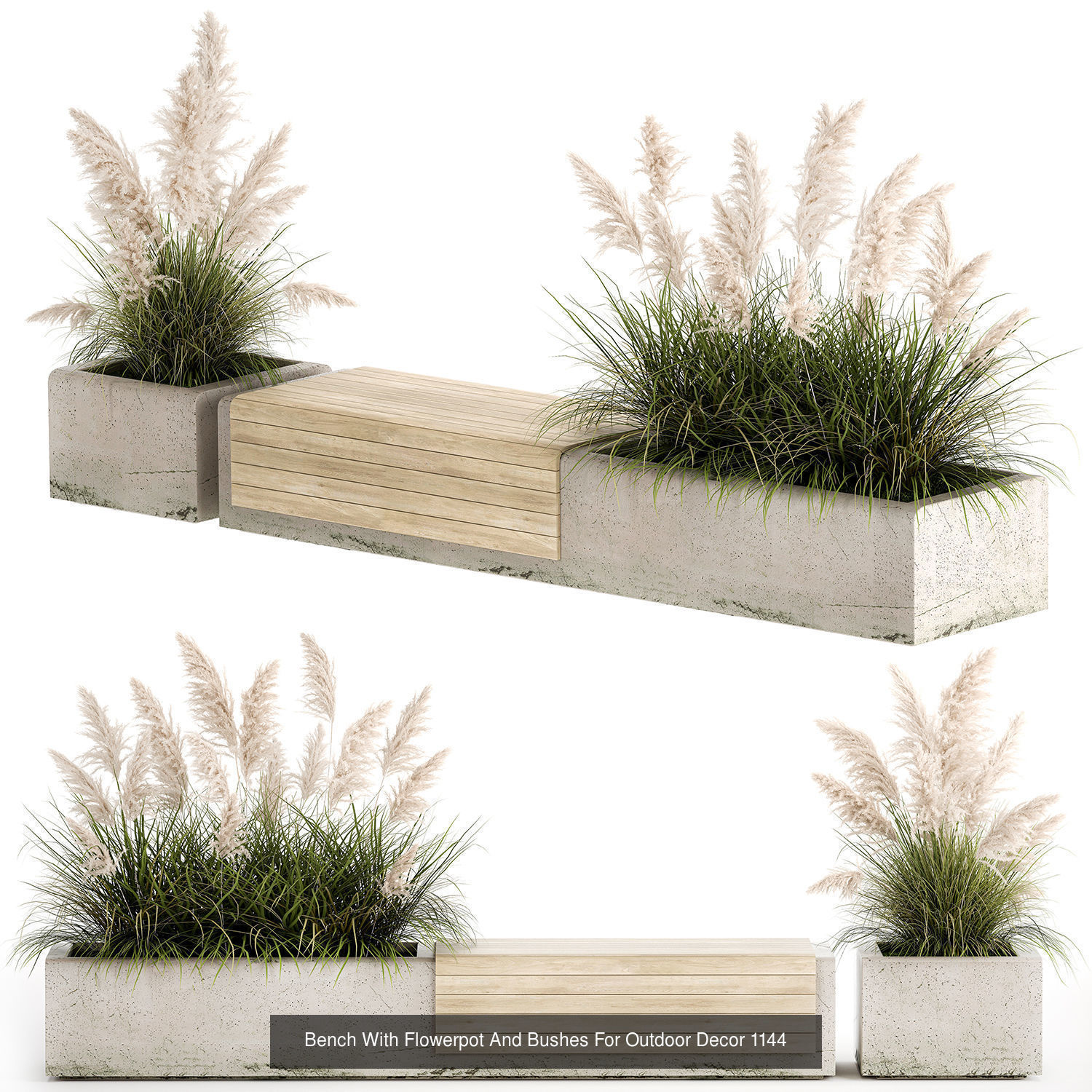 Collection bushes For Landscaping And Urban Environments _6