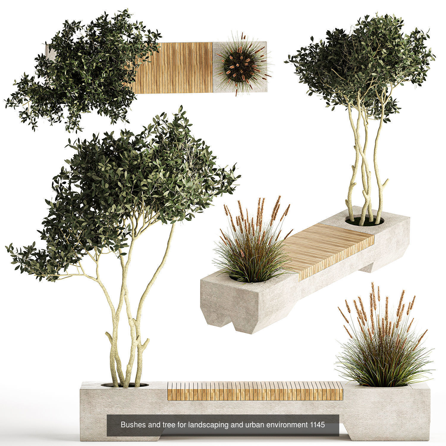 Collection bushes For Landscaping And Urban Environments _1
