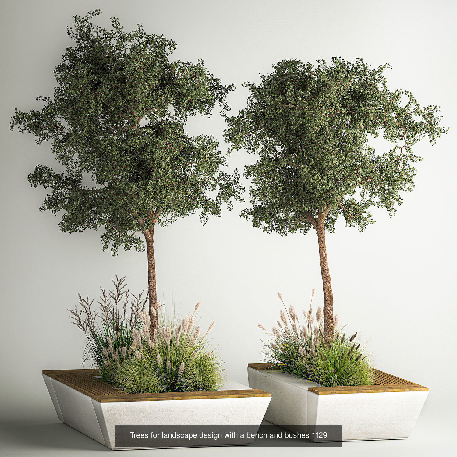 Collection bushes For Landscaping And Urban Environments _7