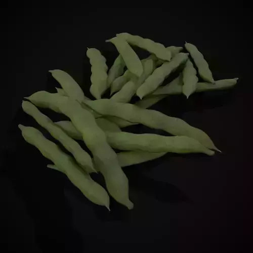 Fava Beans  Low-poly 3D model