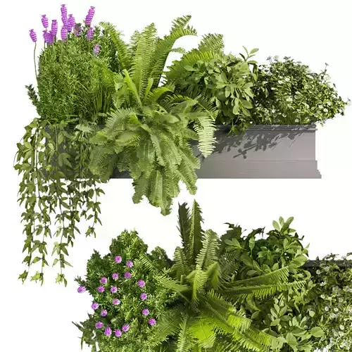 Collection plant vol 416 - Indoor - balcony