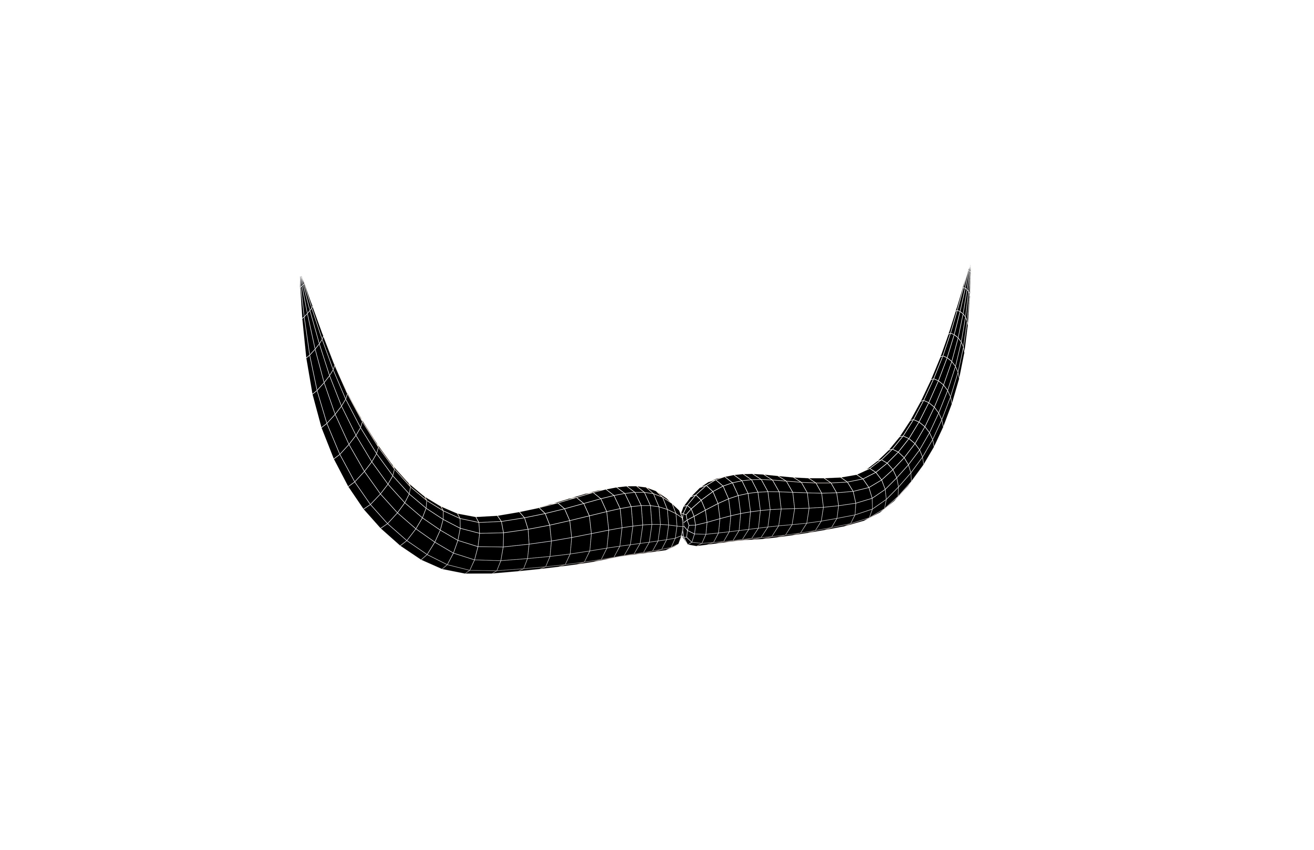 Cartoon Mustache v1 001 Low-poly 3D model_5