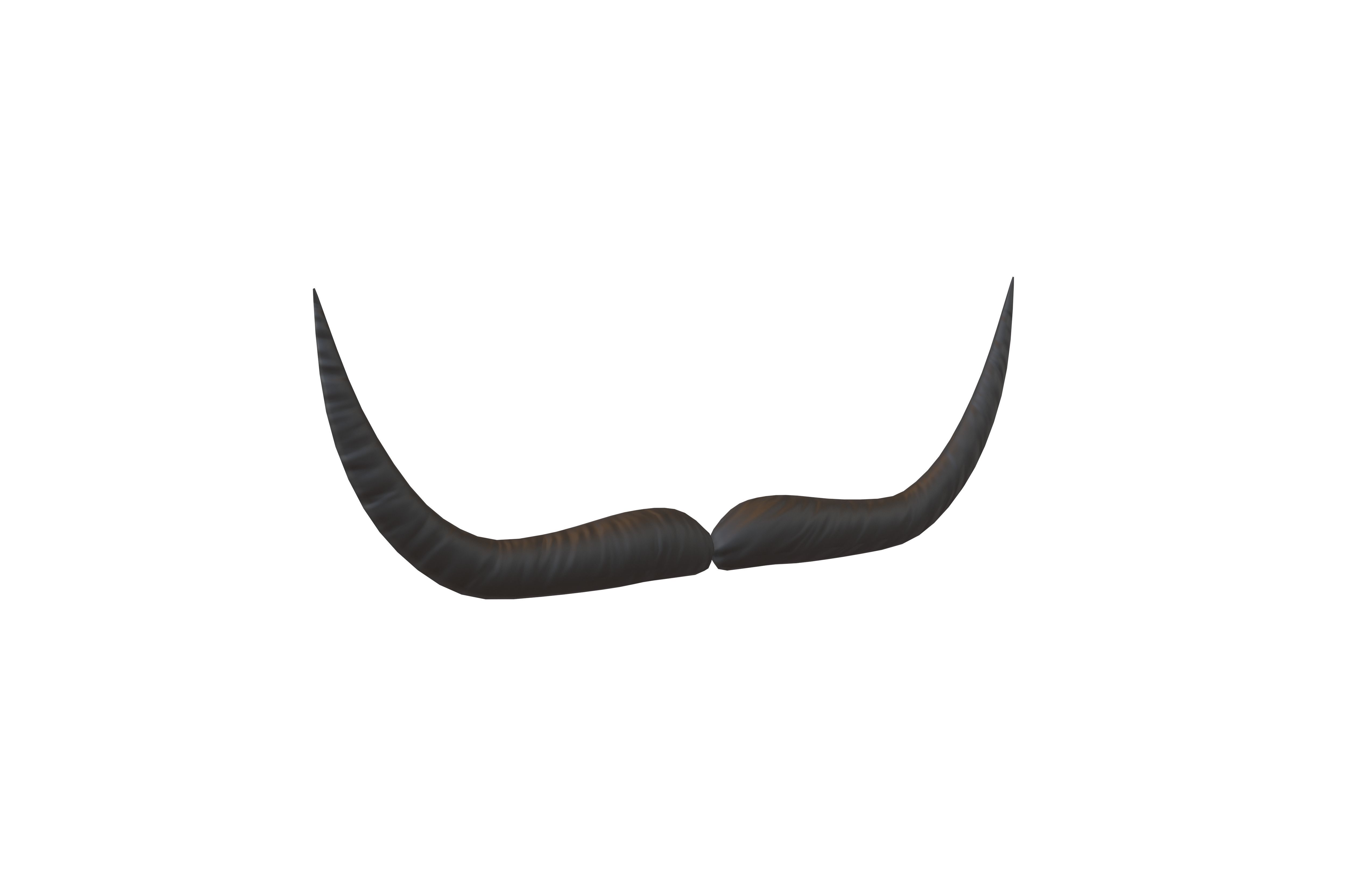 Cartoon Mustache v1 001 Low-poly 3D model_2
