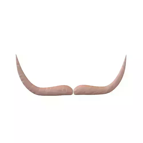 Cartoon Mustache v1 004