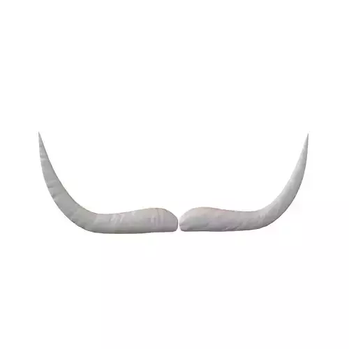 Cartoon Mustache v1 005